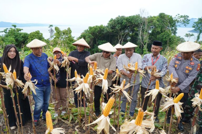 IMG-20251010-WA0015(1)