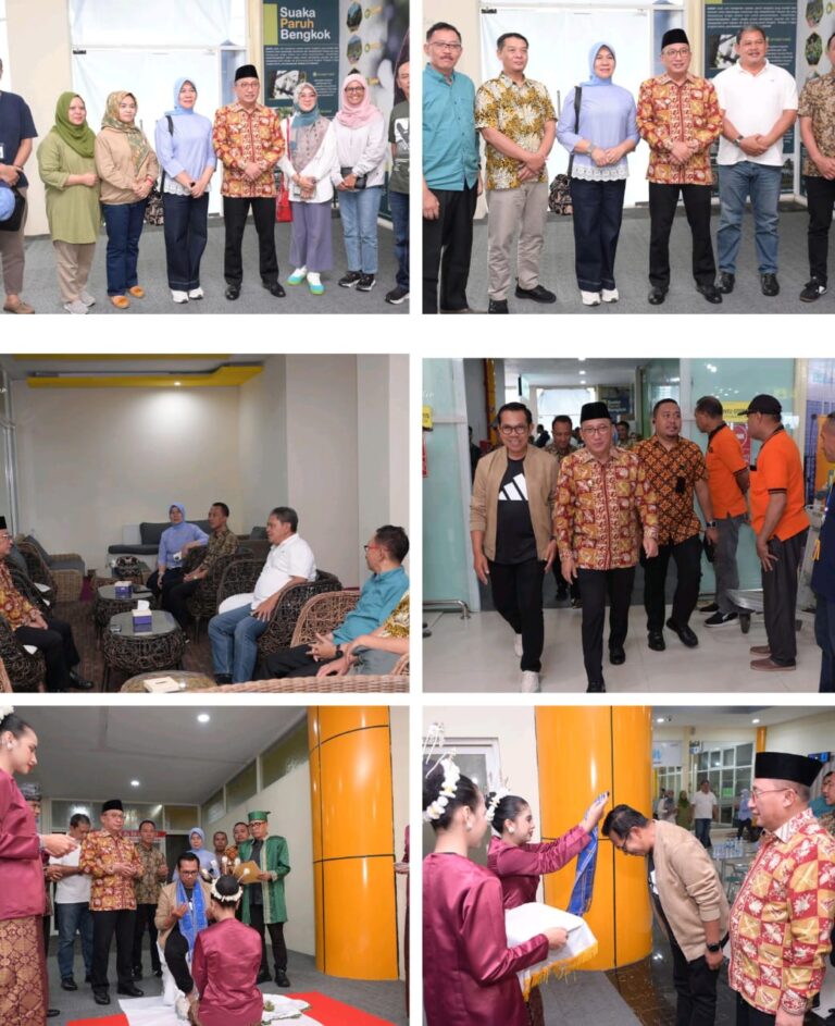 IMG-20251211-WA0013(2)