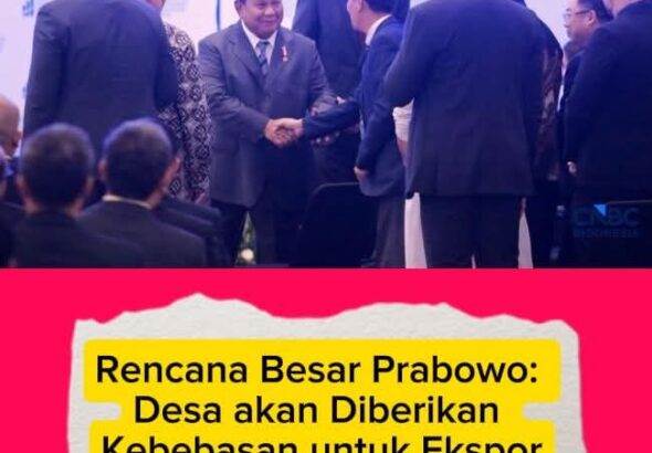 FB_IMG_1771152878380