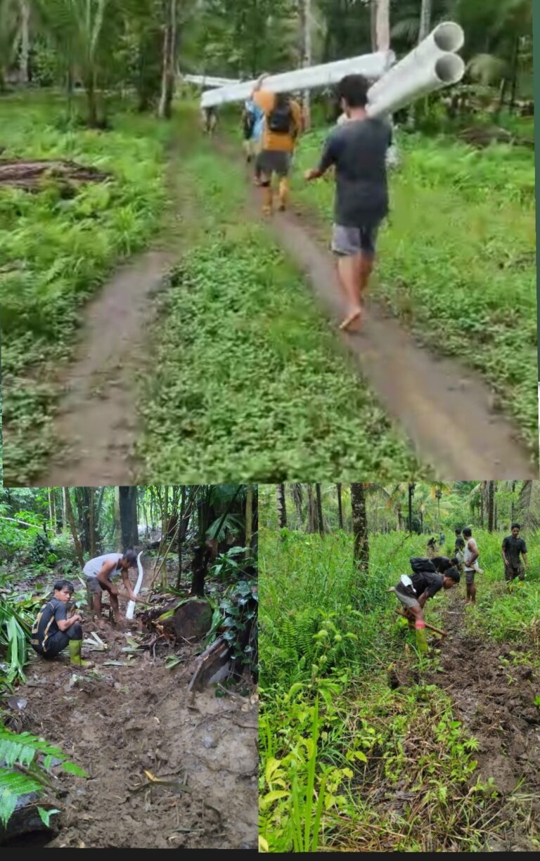 Screenshot_2026-02-05-17-44-01-28_a23b203fd3aafc6dcb84e438dda678b6~2